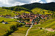 Vignoble alsacien, route des vins  - Niedermorschwihr