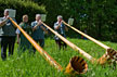 Fêtes et traditions alsaciennes - Fête de transhumance