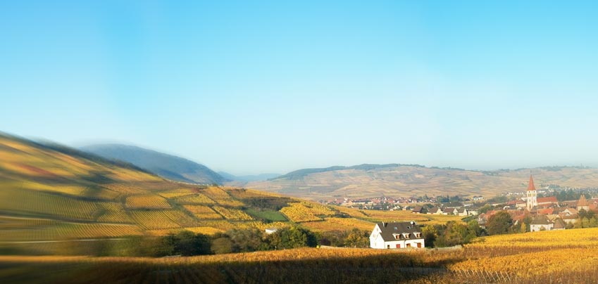 Découvrez l'Alsace et ses villages pittoreques, la route des vins d'Alsace, la gastronomie alsacienne - Ici le Village d'Ammerschwihr 